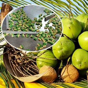 Kẹo Dừa Bến Tre