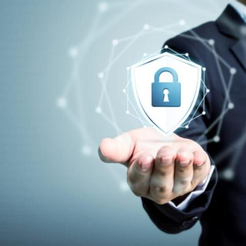 4 loại trà giải nhiệt, phòng bệnh