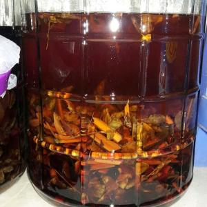 Bán AmaKong Dùng Ngâm Rượu - Món Quà Sức Khỏe Từ Tây Nguyên