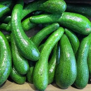 Cách Chọn Bơ Ngon