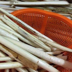 Những món ăn được chế biến từ đọt mây